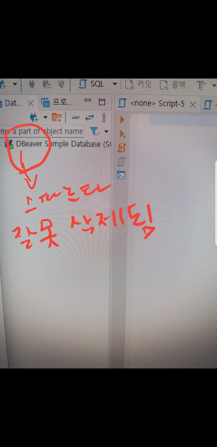 스파르타 즉문즉답
