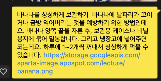 스파르타 즉문즉답