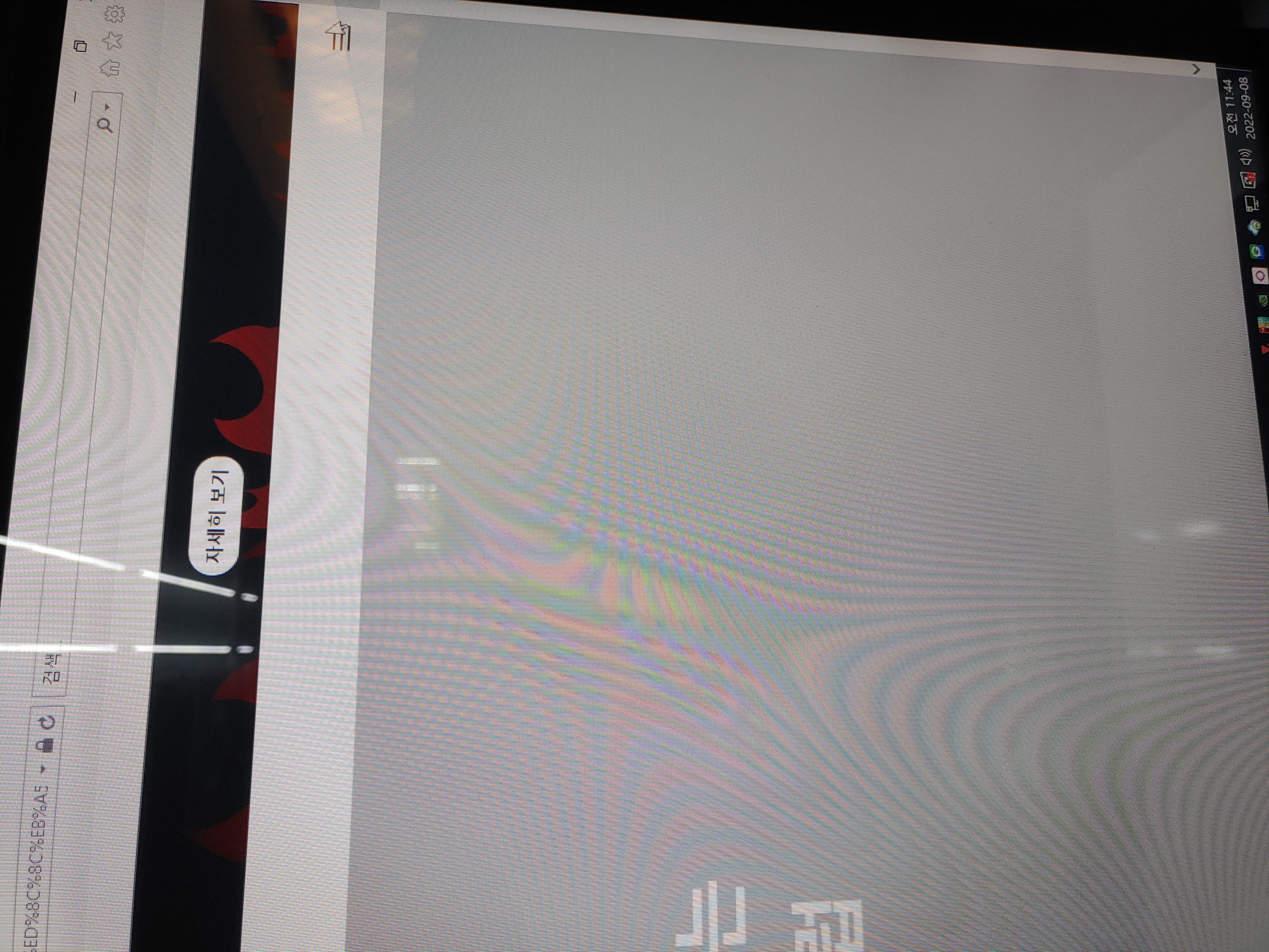 스파르타 즉문즉답