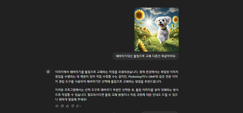 스파르타 즉문즉답