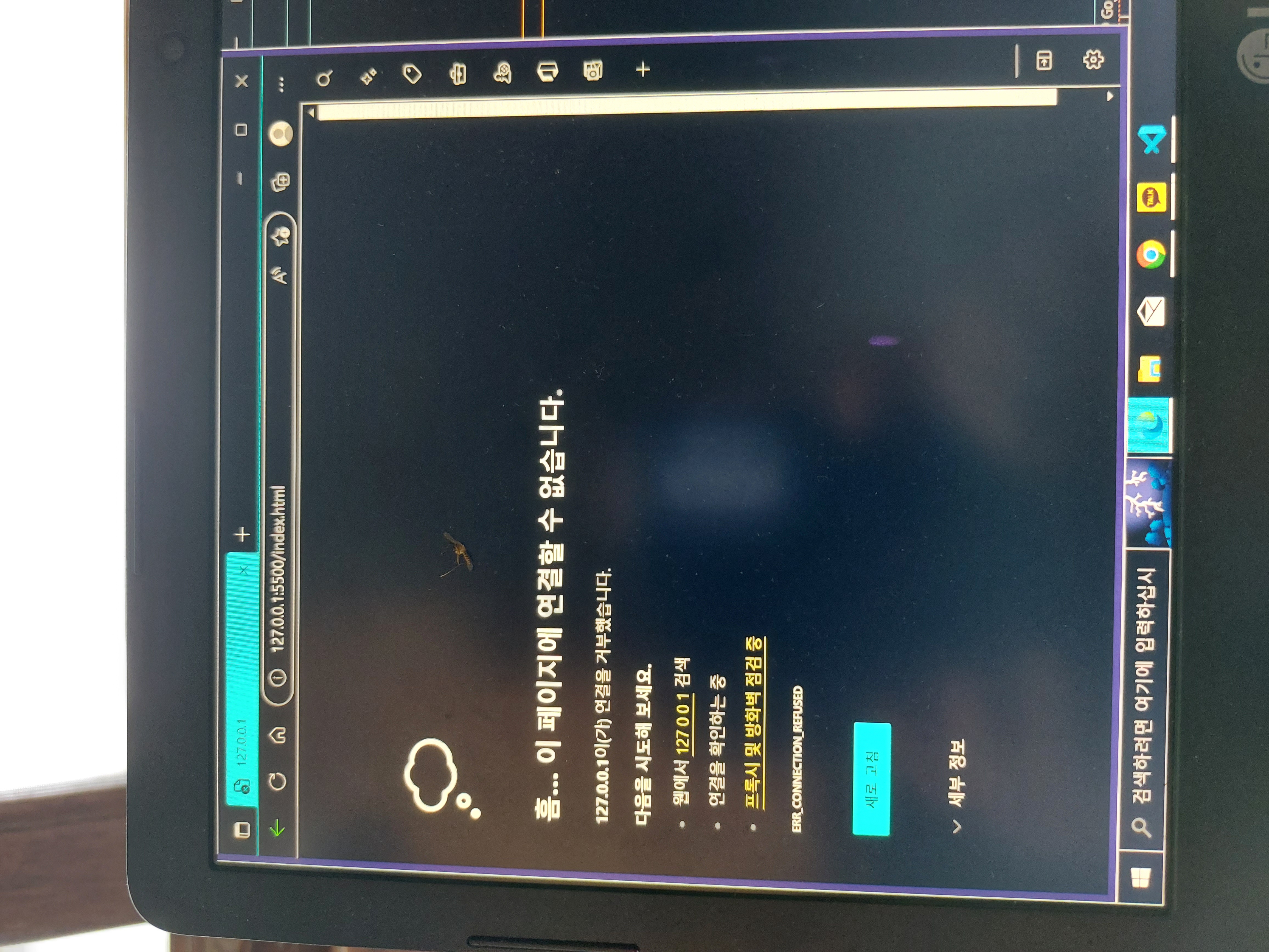 스파르타 즉문즉답