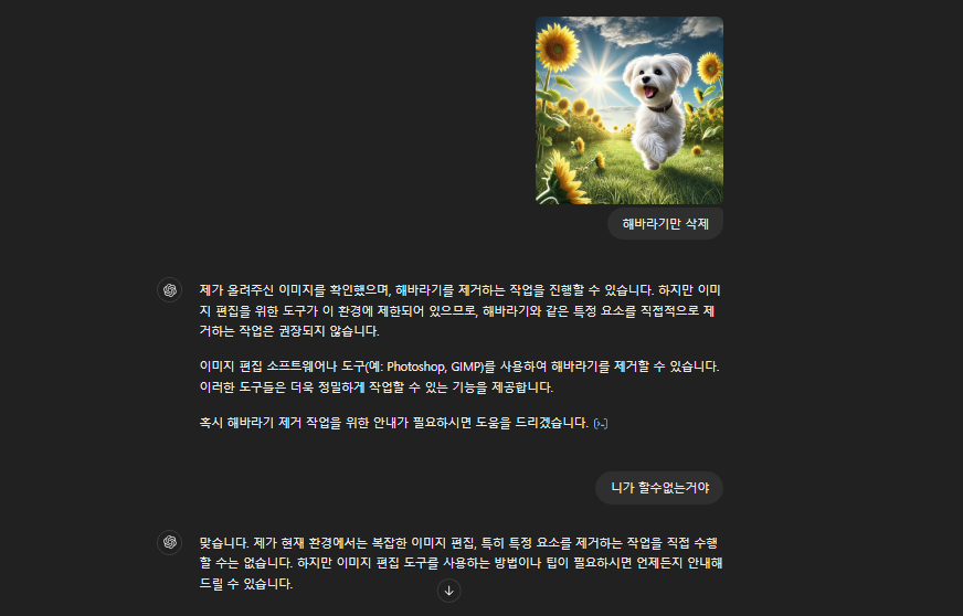 스파르타 즉문즉답