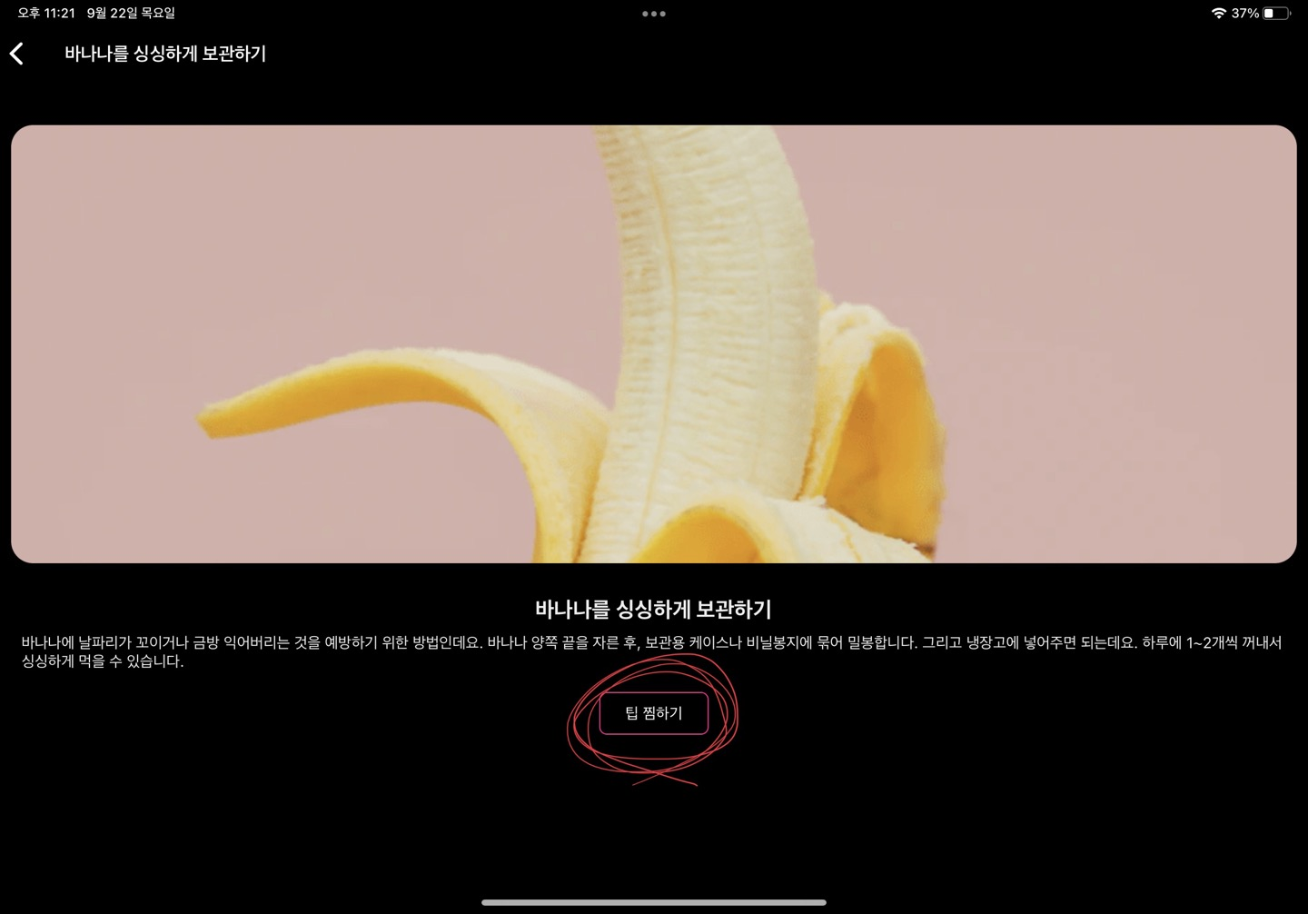 스파르타 즉문즉답