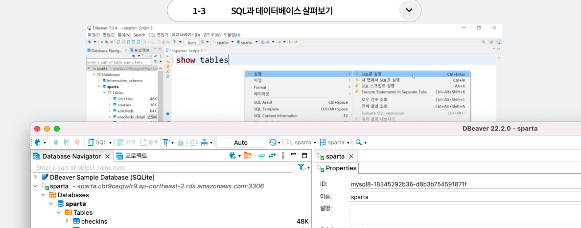 스파르타 즉문즉답