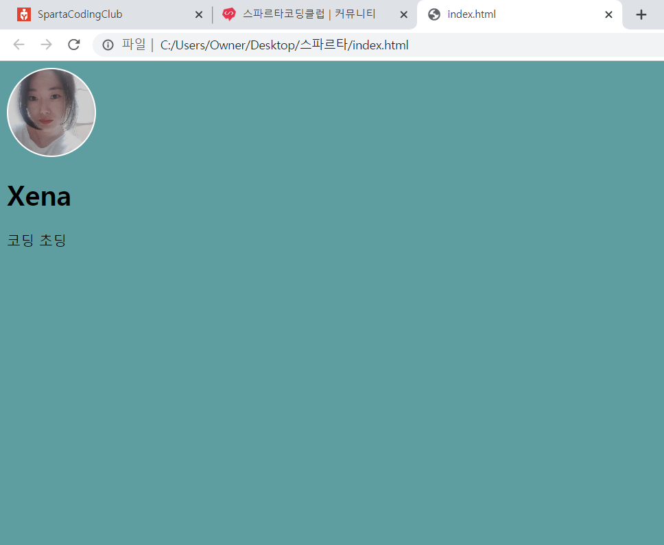 스파르타 즉문즉답