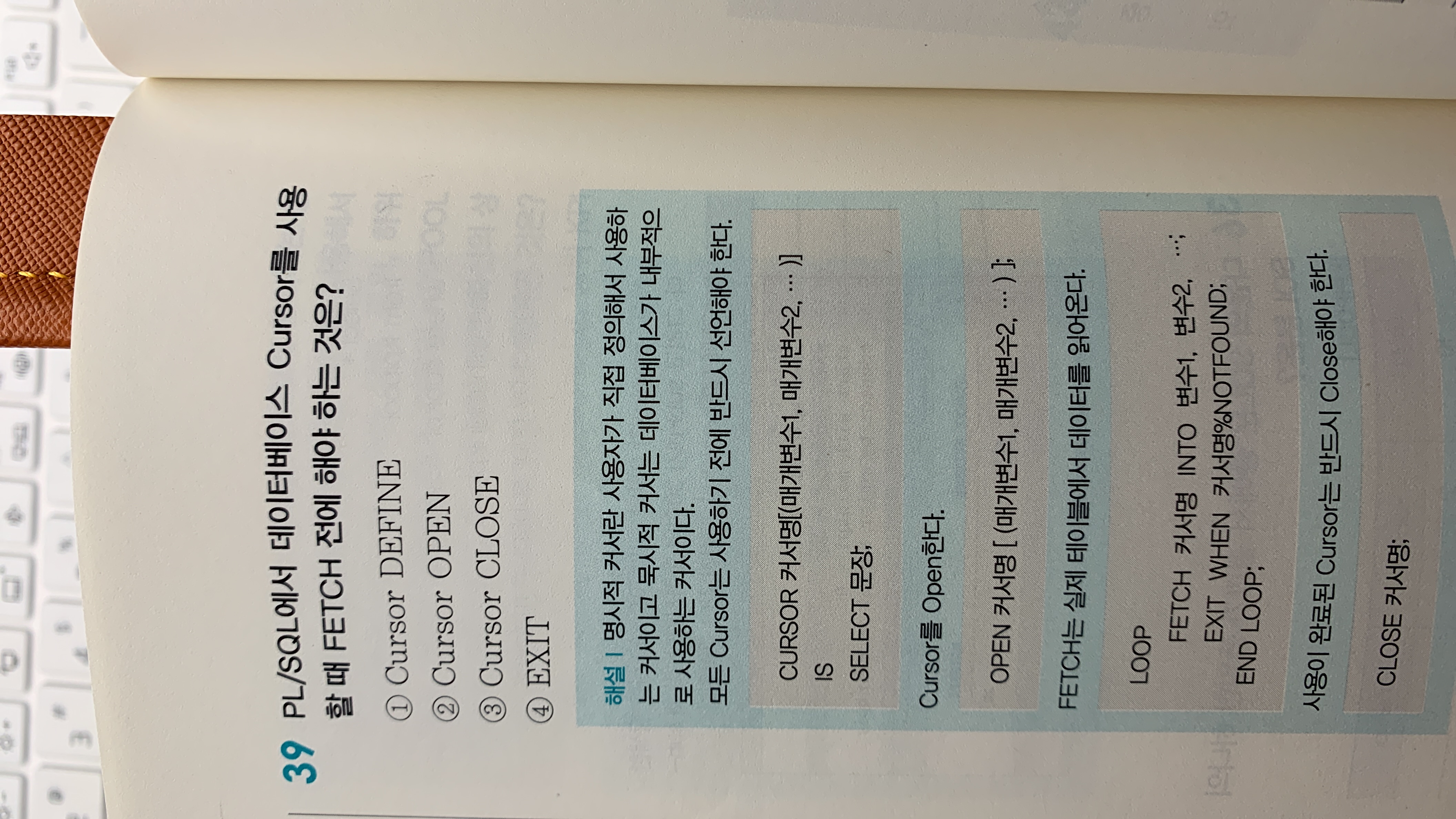 스파르타 즉문즉답