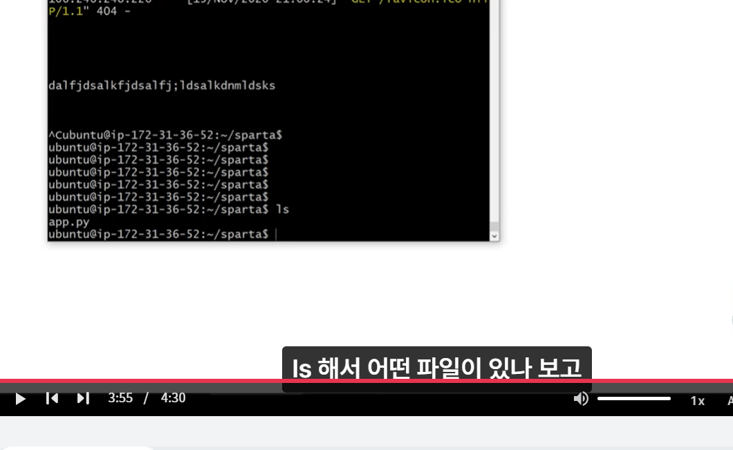 스파르타 즉문즉답